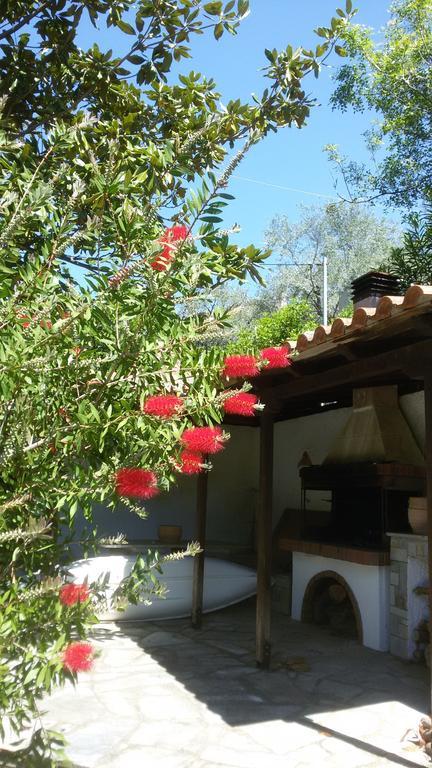 Stelios Seaside House Villa Lefokastro Exterior photo